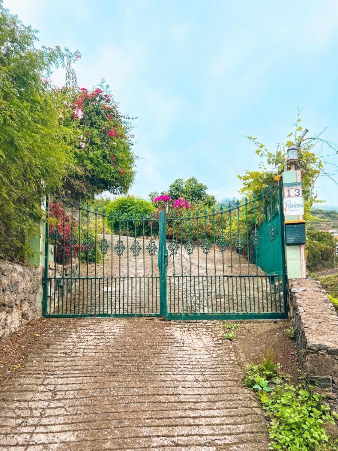Sun-Soaked Apt W Patio, Balcony & Garden - Aguilas La Orotava Exterior foto